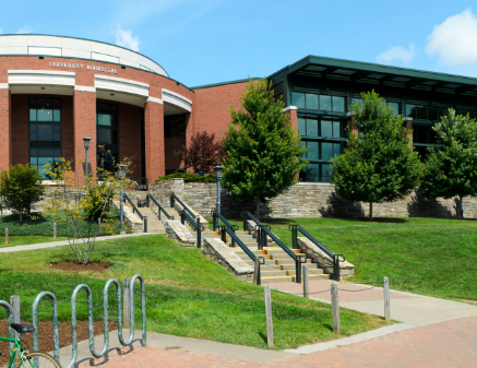 Higher Education